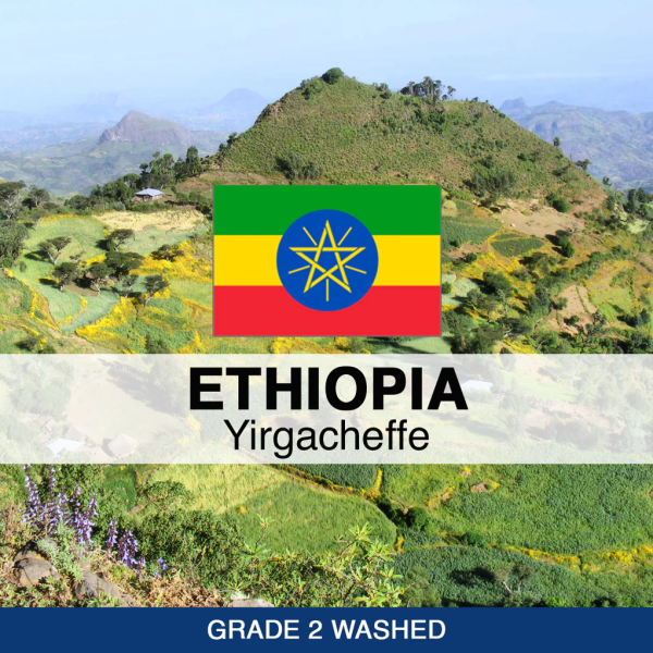 Ethiopian Guji- Kayon Mountain Shakiso (ground)